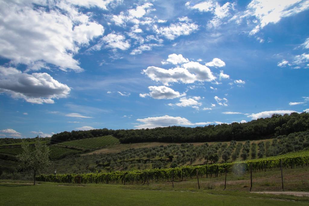 Agriturismo Panzanello Panzano in Chianti Bagian luar foto